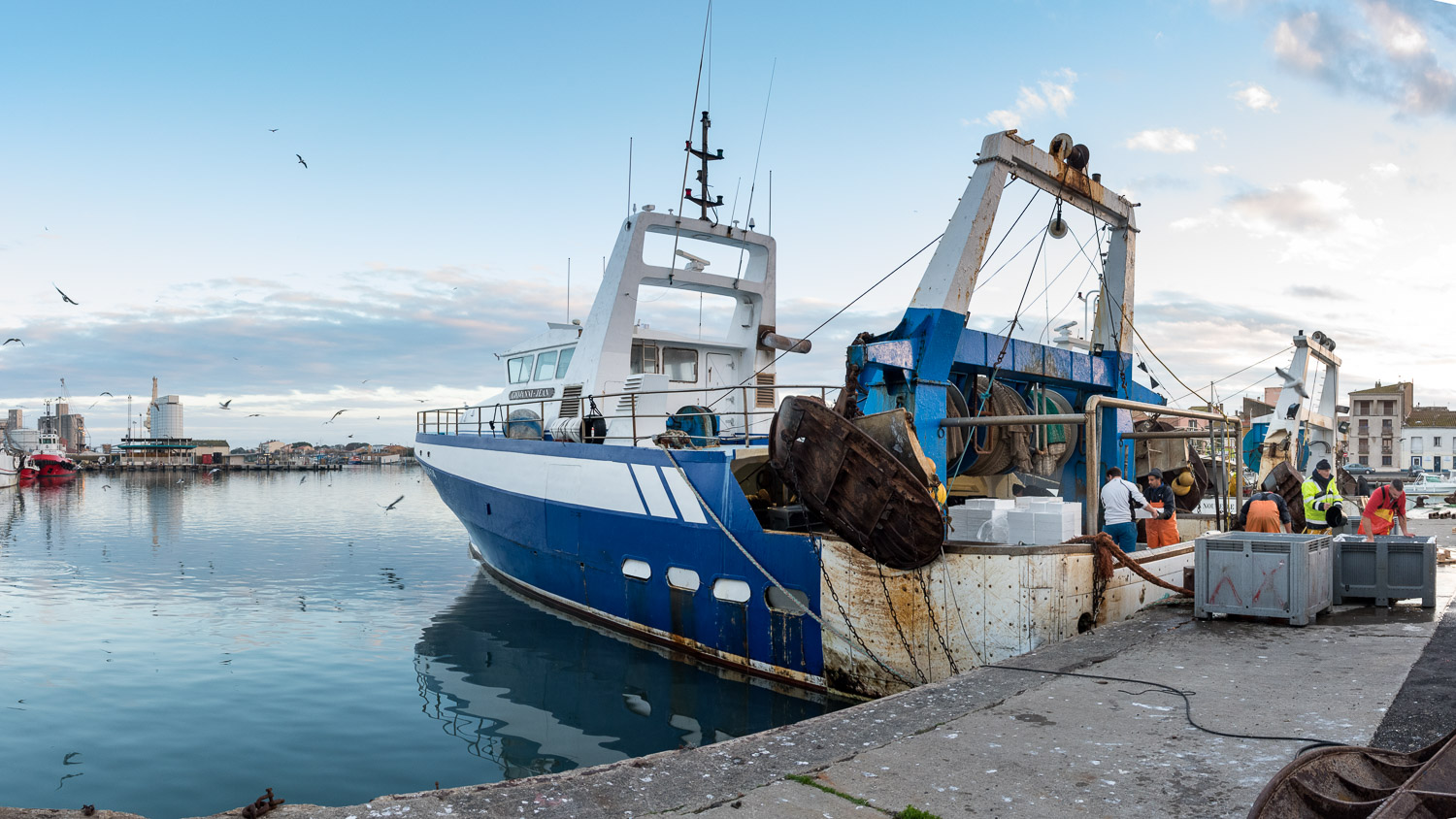 Type De Bateau Top 7