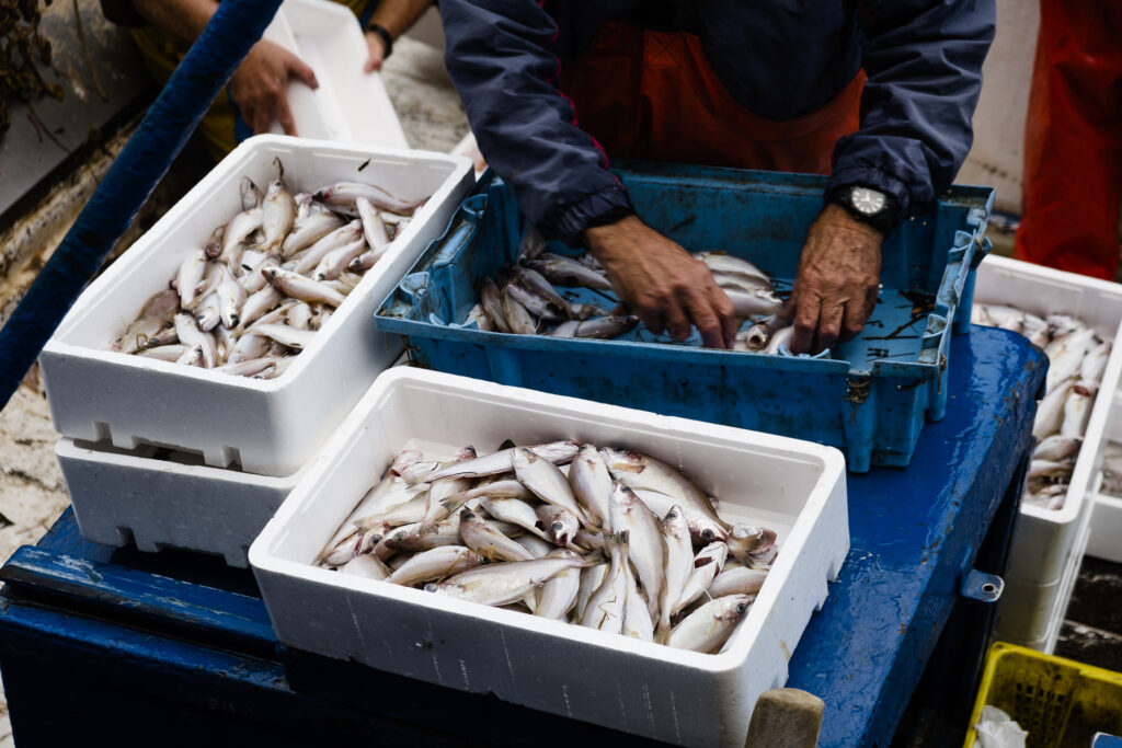 Encadrement peche