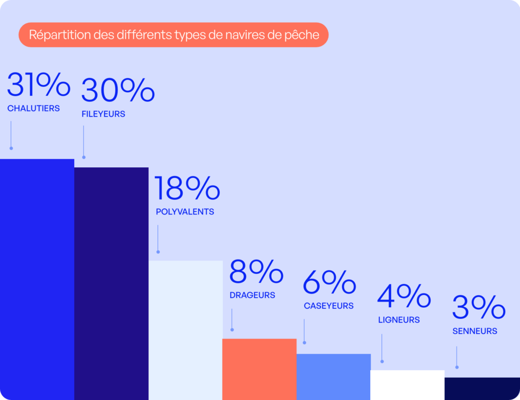 Schéma montrant la répartition des différents types de navires de pêche. Chalutiers et fileyeurs composent la majeure partie de la flotte française (plus de 60%), suivis des navires polyvalents (18%). 