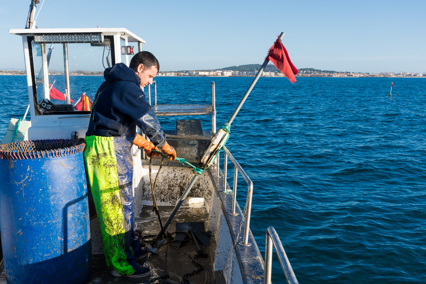 Poulpe ©HenriComte 23