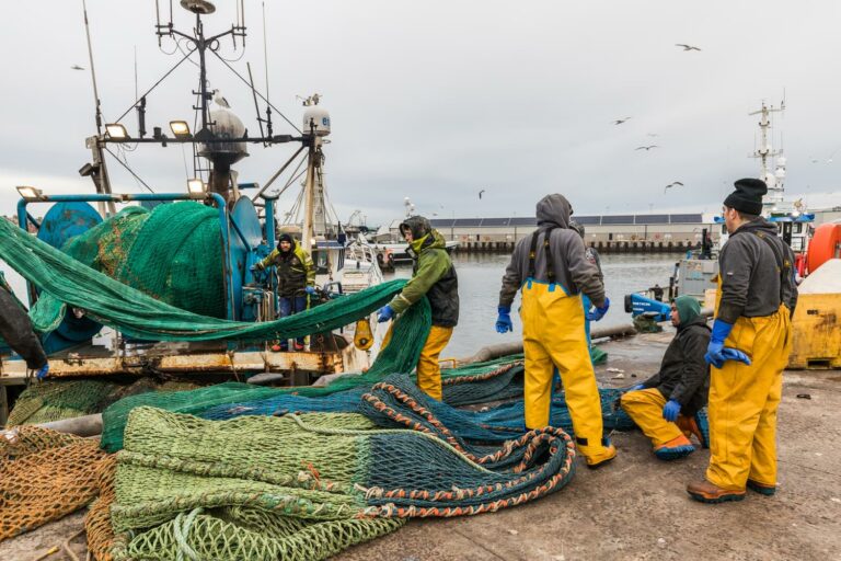 Techniques de pêche