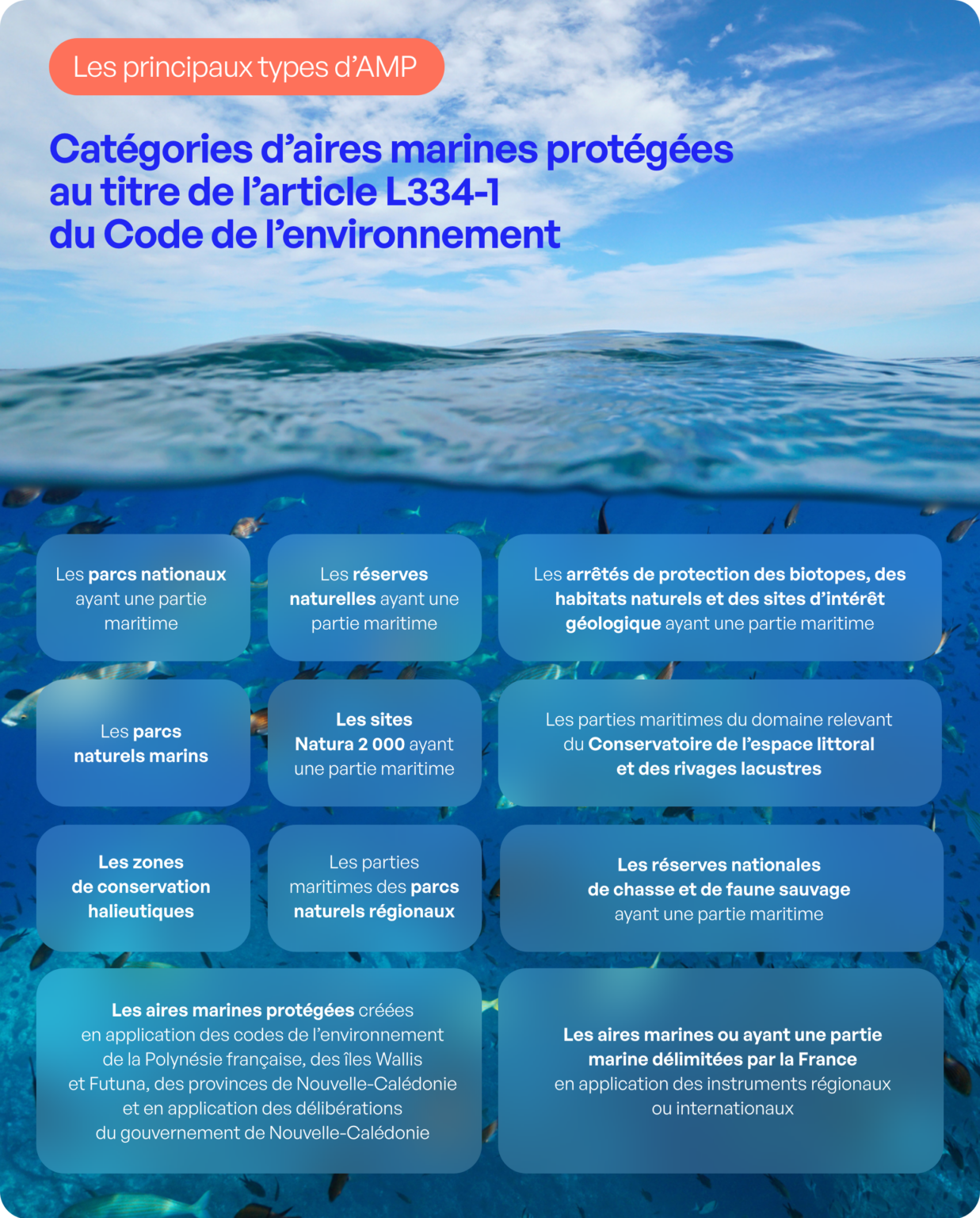 Comprendre Les Aires Marines Prot g es France Terre De P ches comprendre-les-aires-marines-prot-g-es-france-terre-de-p-ches