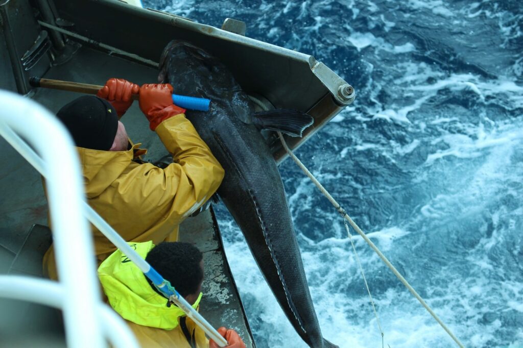 Pêcheurs de la Réunion : garder le cap malgré des vents contraires 1 1819 ILB 1812 CDEL M2 GAFFE compress
