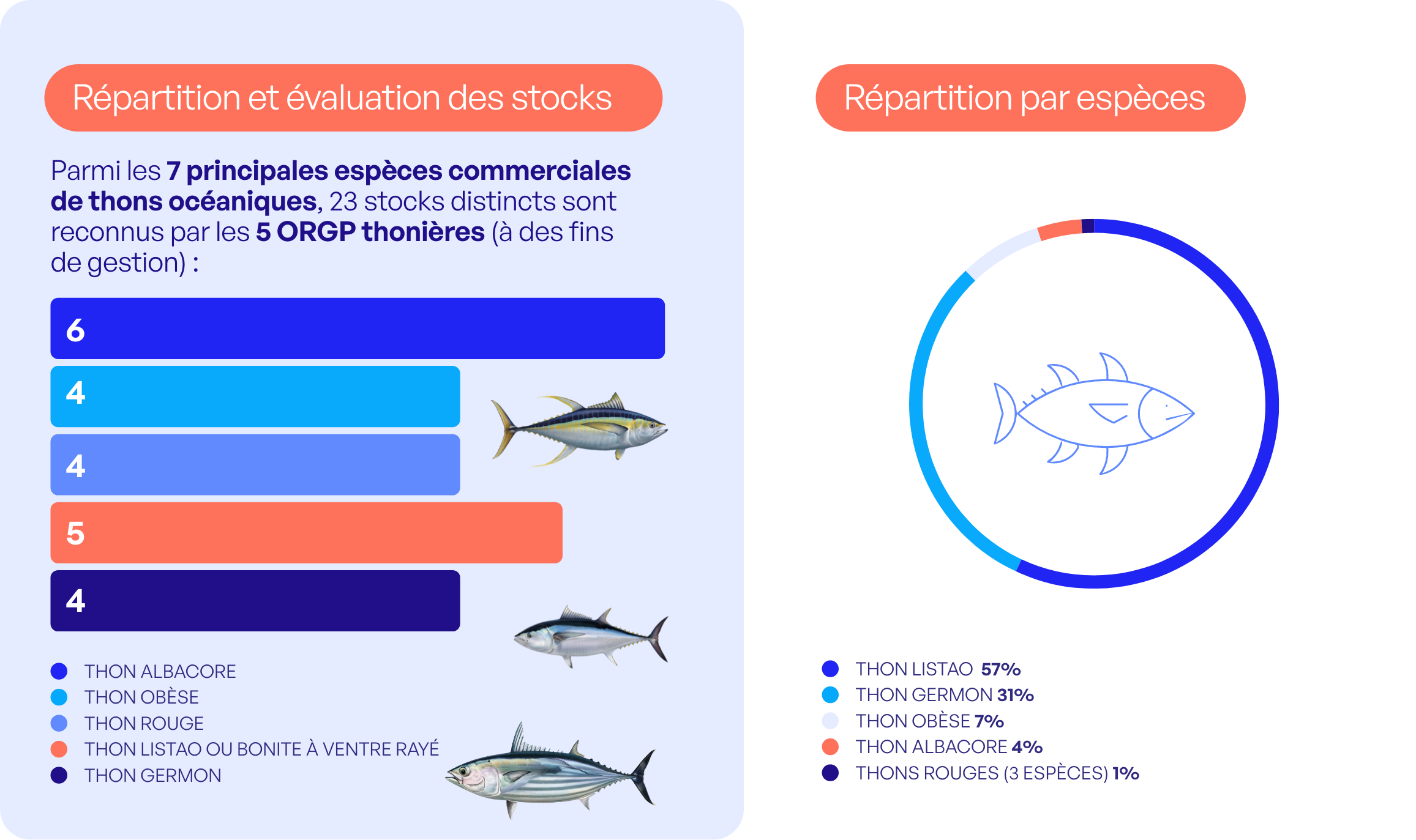 État des stocks mondiaux et pêche durable dans l'Union Européenne : où en est-on ? 4 FTP DATA PECHERIE THON 1