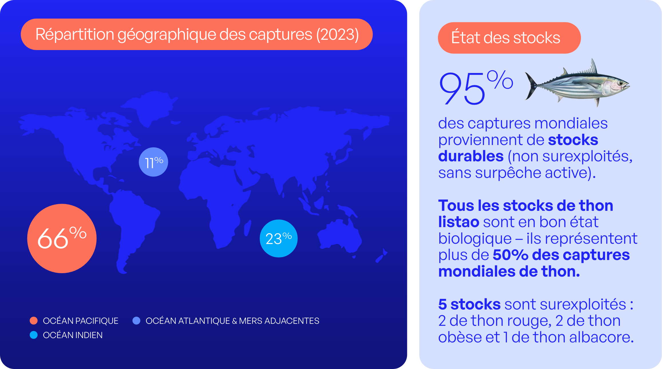 État des stocks mondiaux et pêche durable dans l'Union Européenne : où en est-on ? 6 FTP DATA PECHERIE THON 3