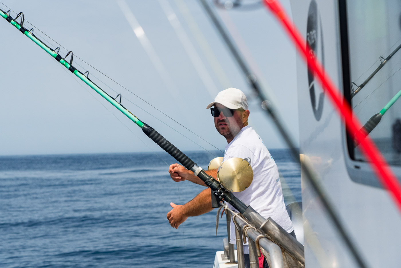 Recherche en mer : pêcheurs et chercheurs, un duo gagnant 3 Thon Rouge 81┬®HenriComte