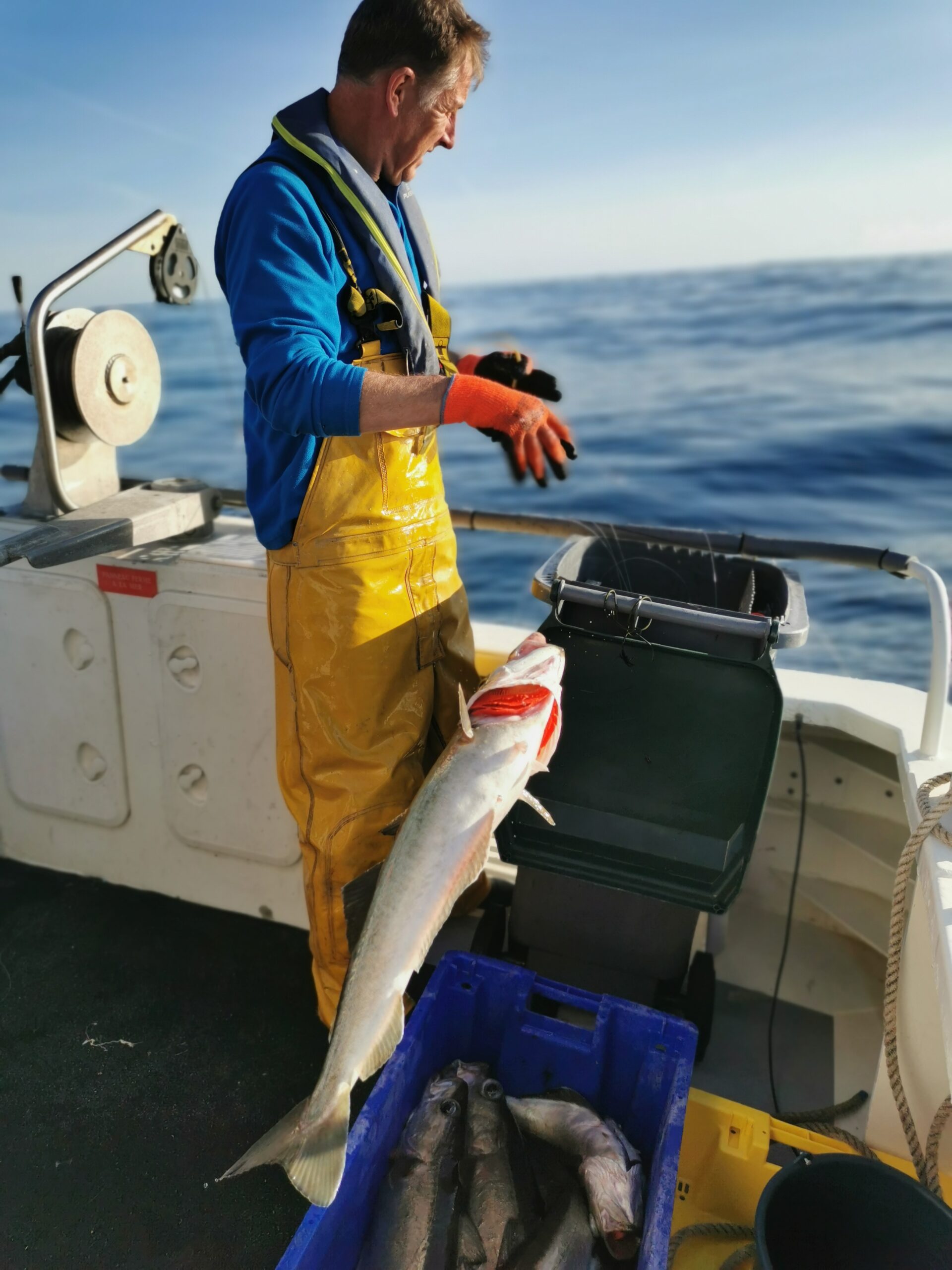 IMG 20220409 192747 scaled