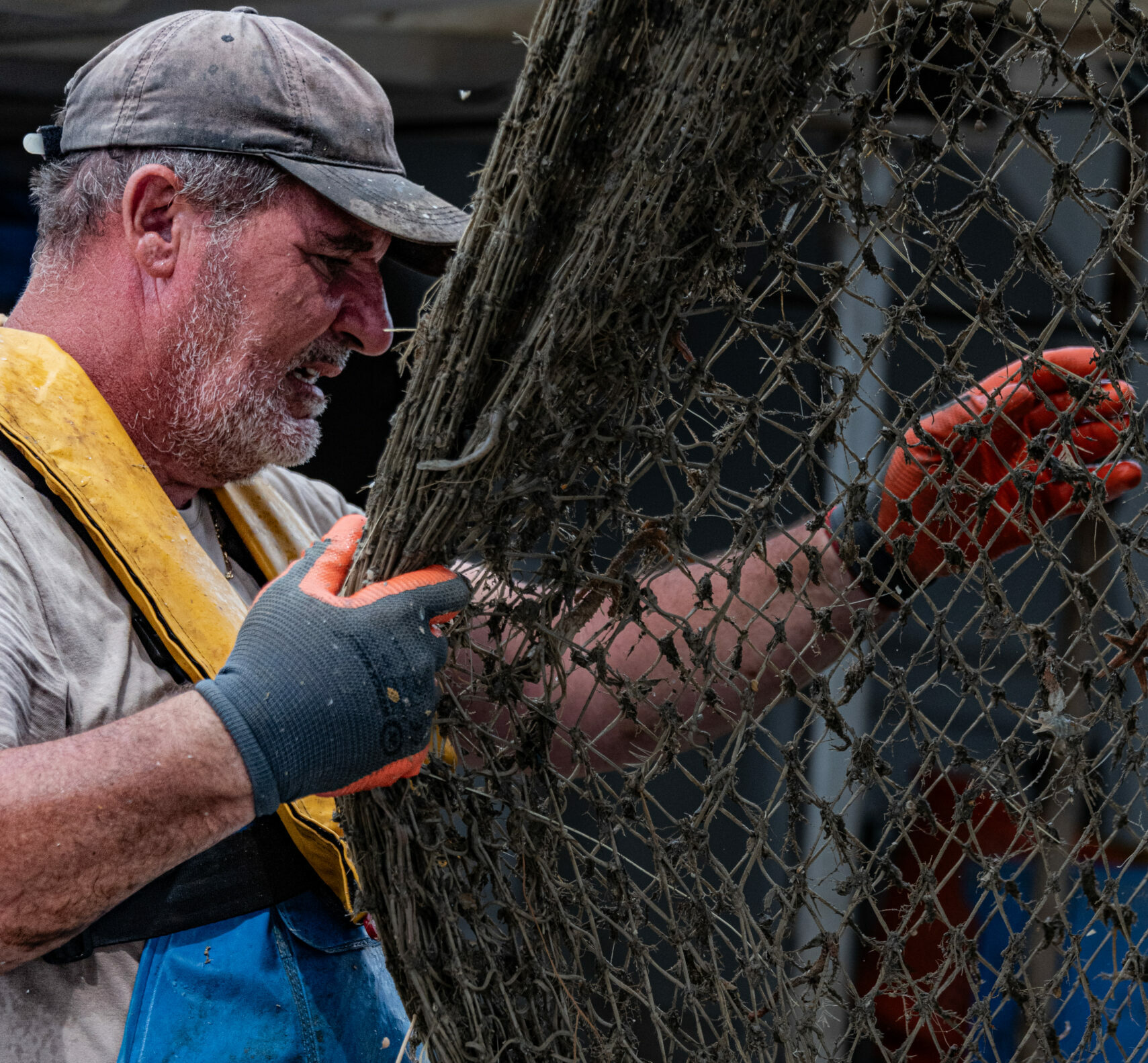 SIM 2063 scaled e1765314434934