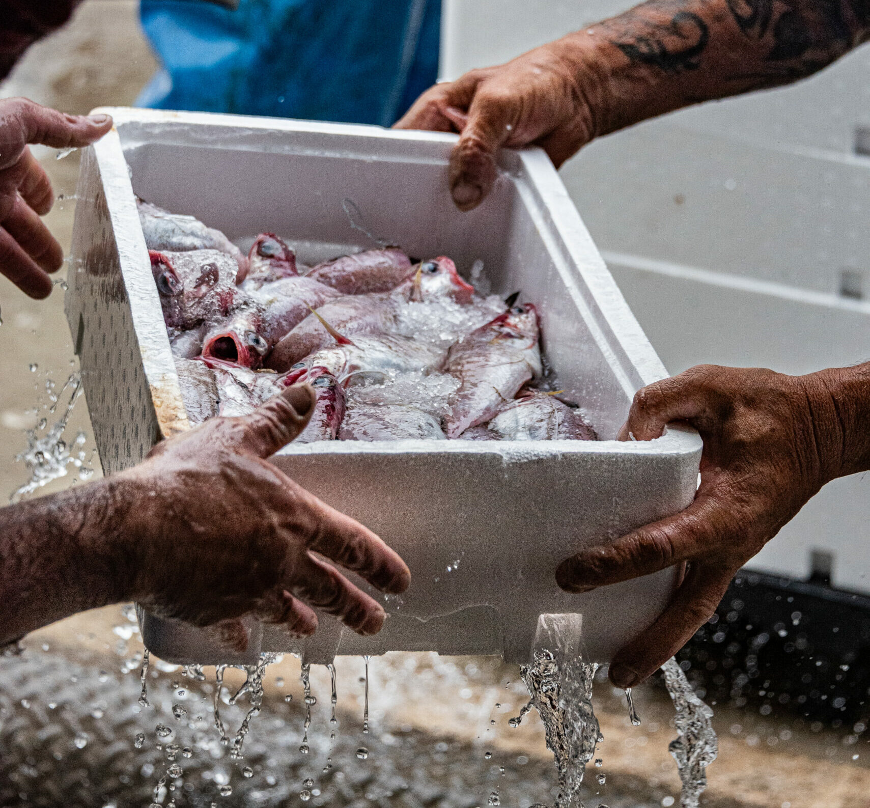 SIM 2394 1 scaled e1765314319774