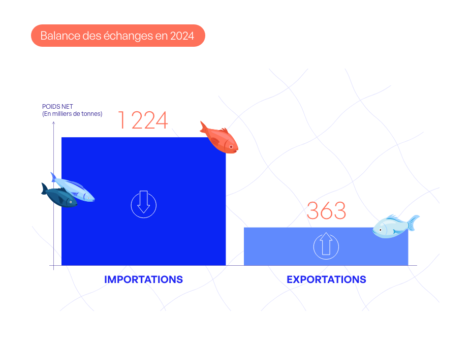 FTP DATA BALANCE DES ECHANGES 2024 2