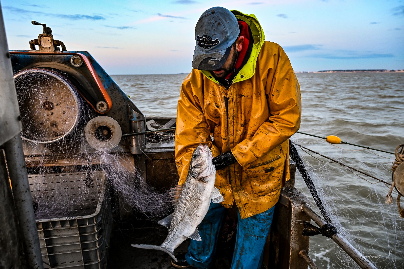 WhatsApp Image 2026 01 13 at 17.31.24