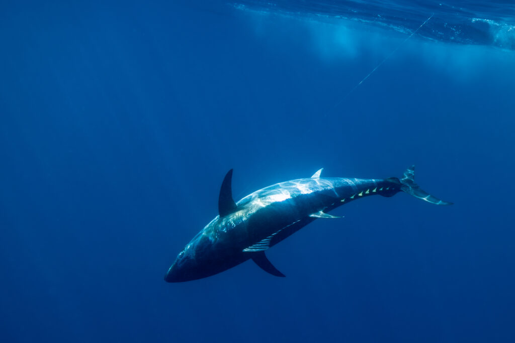 B6A8723 Enhanced NR 1