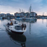 Filet maillant au Cap d'Agde © Henri Comte