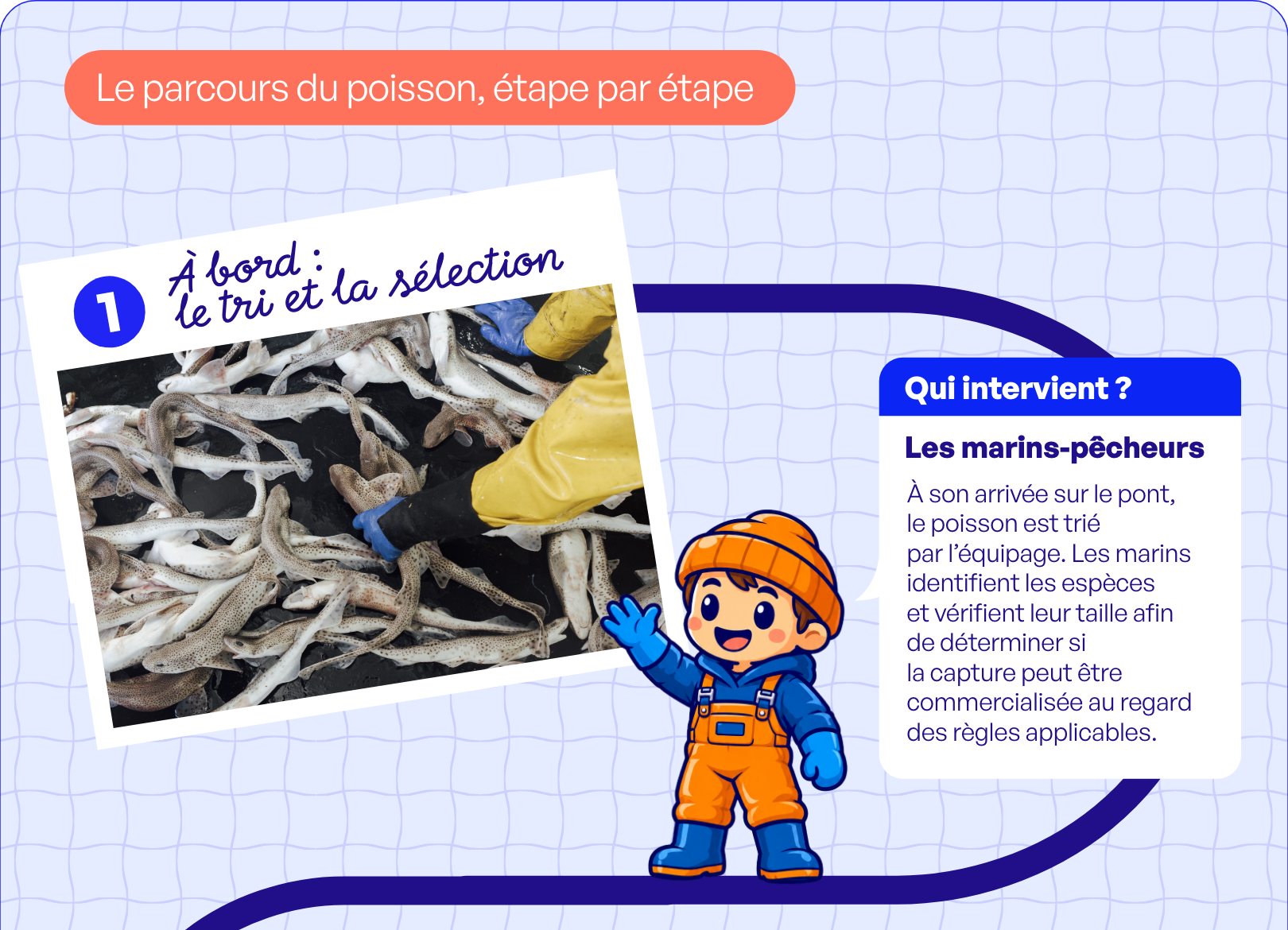 FTP INFOG PARCOURS POISSON 01