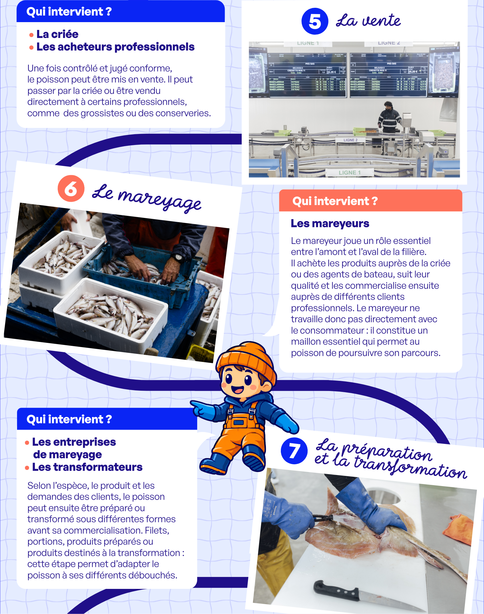 FTP INFOG PARCOURS POISSON 04