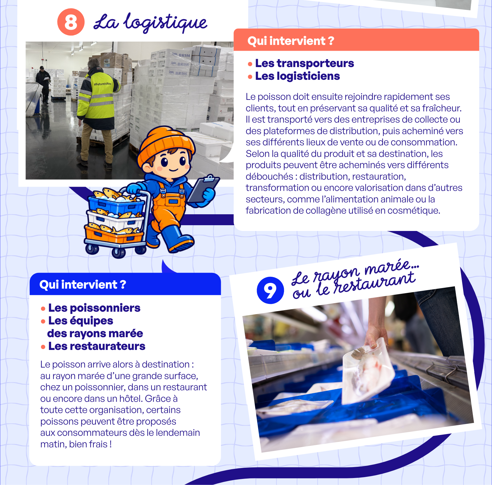 FTP INFOG PARCOURS POISSON 05